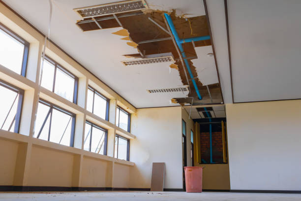 Best Carpet water damage restoration  in Chardon, OH