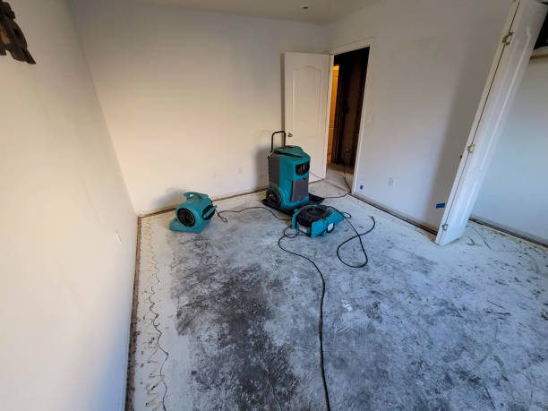 Best Commercial water damage restoration  in Chardon, OH