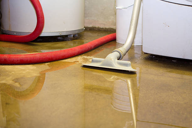 Best Professional water damage repair  in Chardon, OH