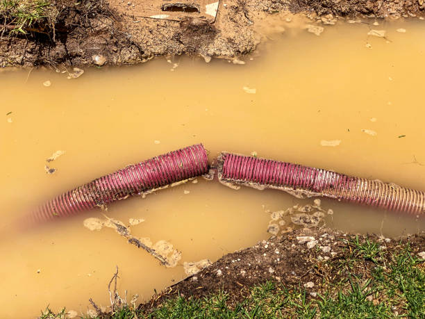 Best Residential water damage restoration  in Chardon, OH