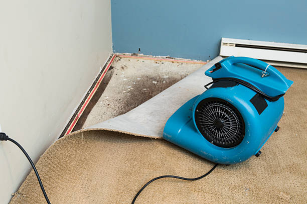  Chardon, OH Water damage restoration Pros